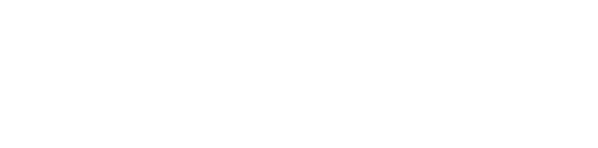 Lingva